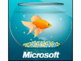   Microsoft:        Microsoft